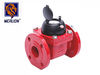woltman water meter