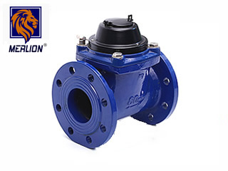 woltman water meter